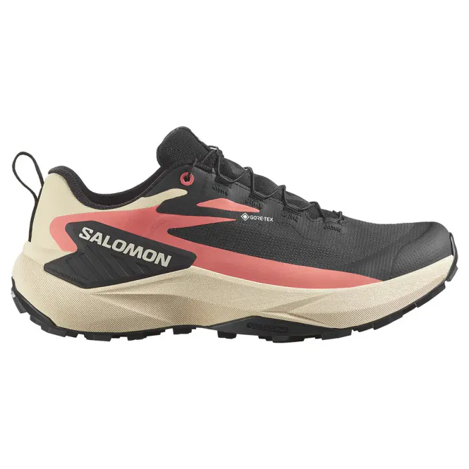Main Image Salomon GENESIS GTX W Black / ...