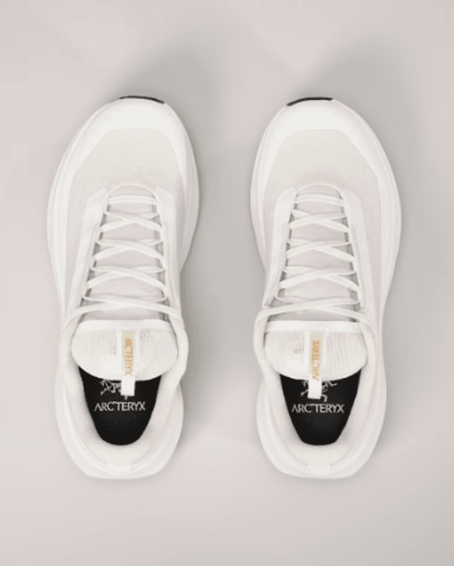 Norvan LD 4 GTX W's Arctic Silk / Arctic Silk
