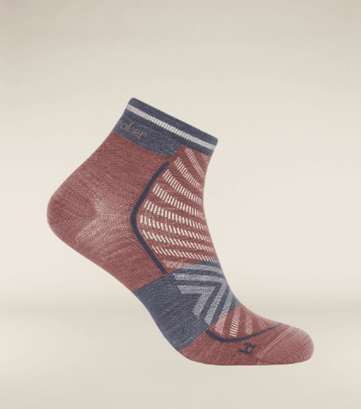 Men's Merino Blend Run+ Ultralight Mini Socks Carob/graphite