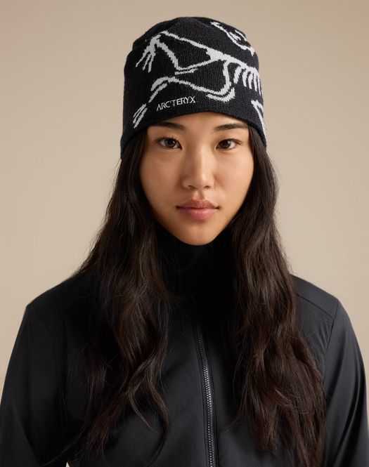 Main Image Arc'teryx Bird Head Toque ...